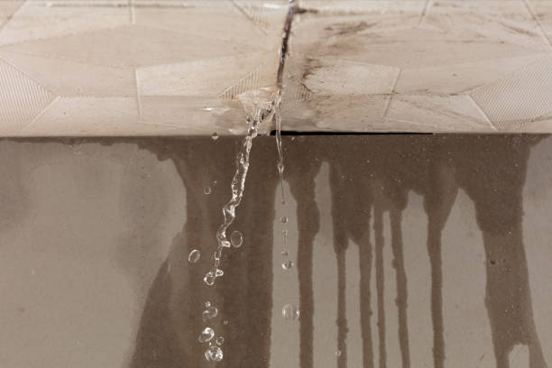 Professional Flood Damage Cleanup technician working in Franklinville, NJ